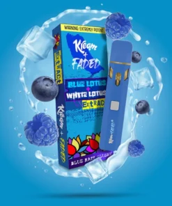 Blue Razz Slushy - Kream Disposable Vape